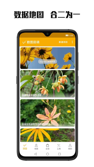 数图田调 数图田调