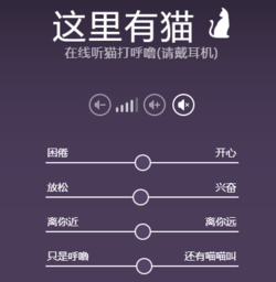 这里有猫
