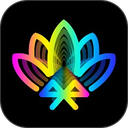‌宝莲灯Pro‌官方正版下载