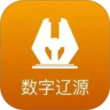 数字辽源