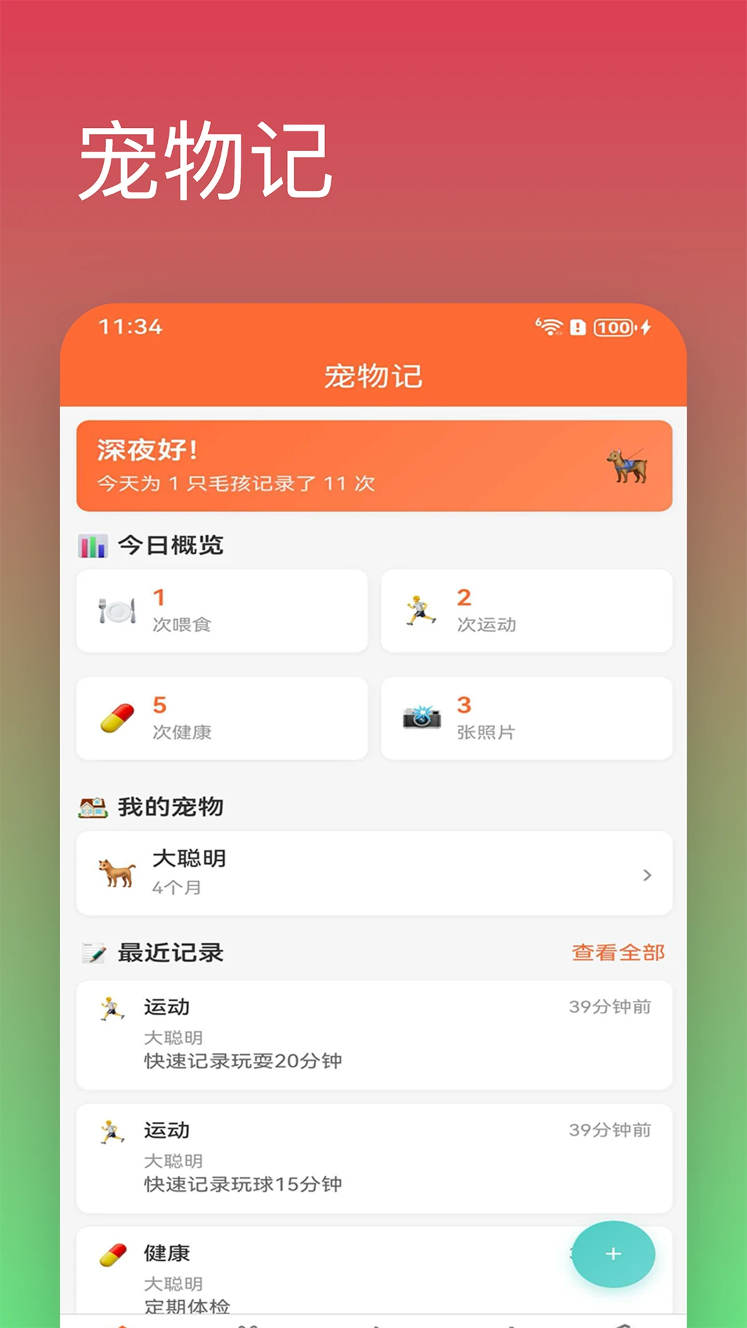宠物日记