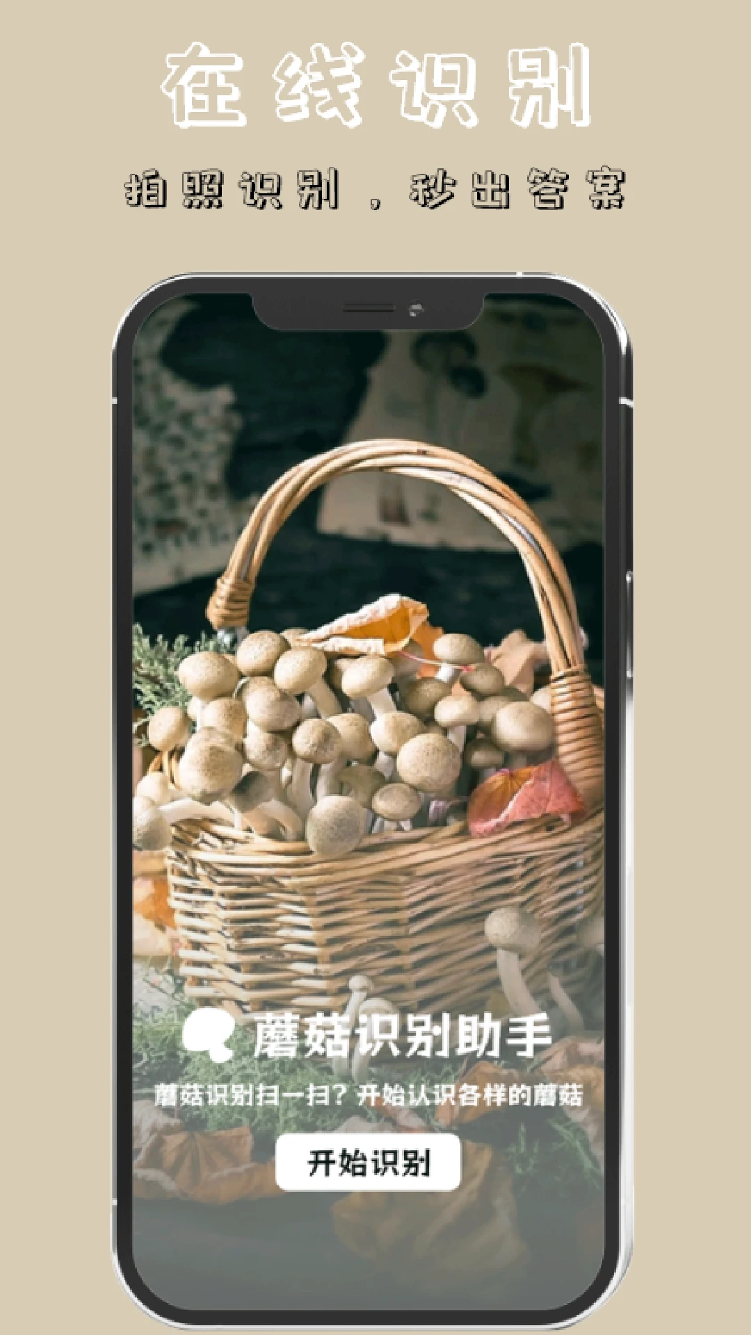 蘑菇识别 蘑菇识别