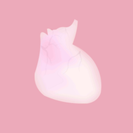 生命LIFE 2025正版