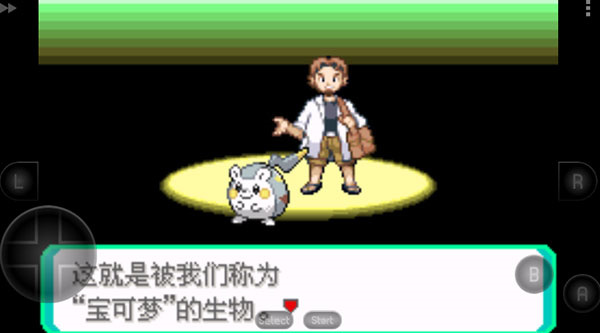 口袋妖怪 激进红