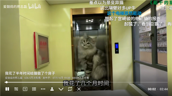 bbll第三方tv客户端最新版