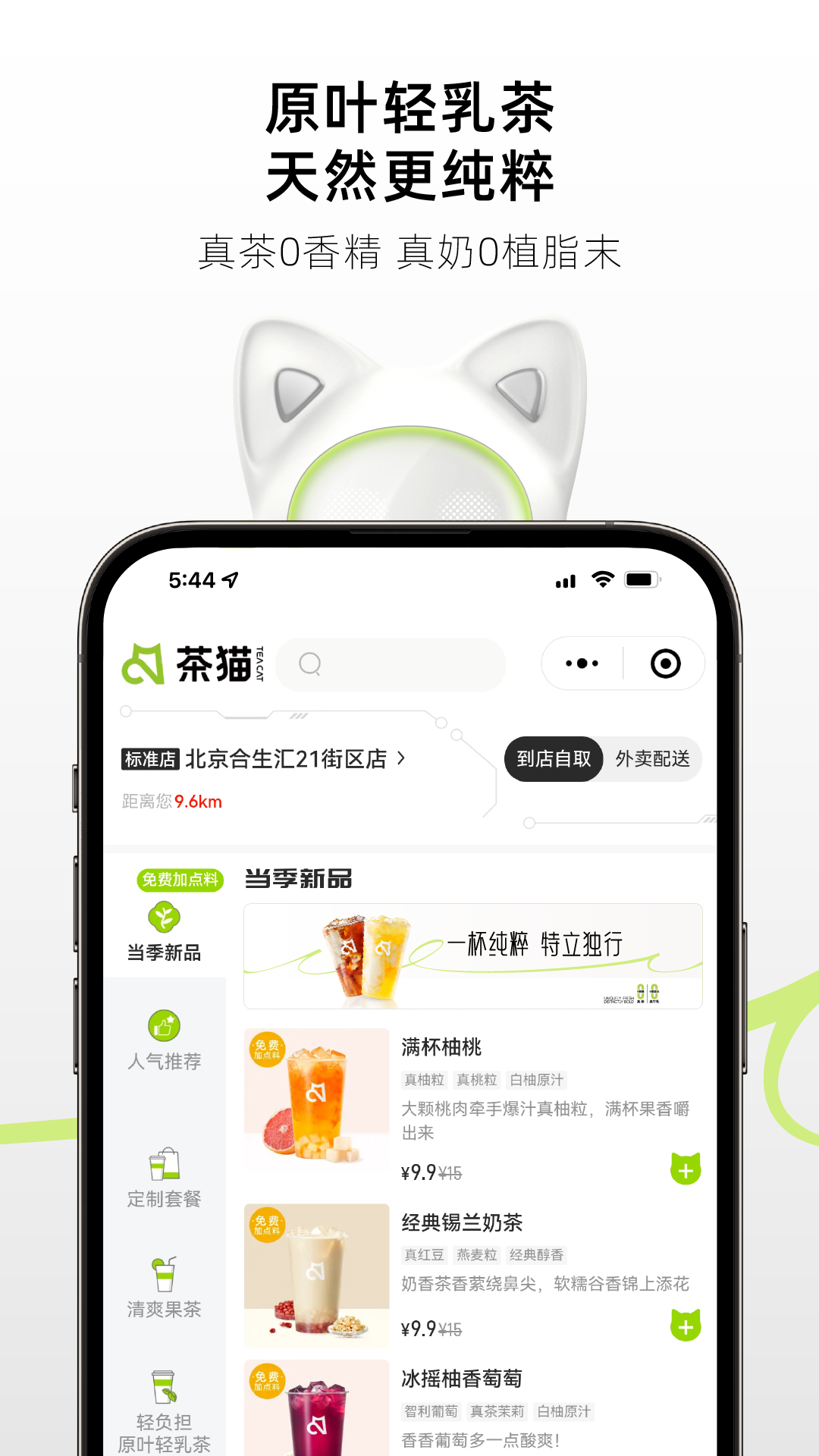 茶猫 茶猫