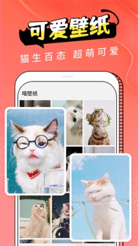 人猫翻译器