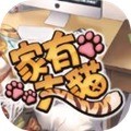 家有大貓
