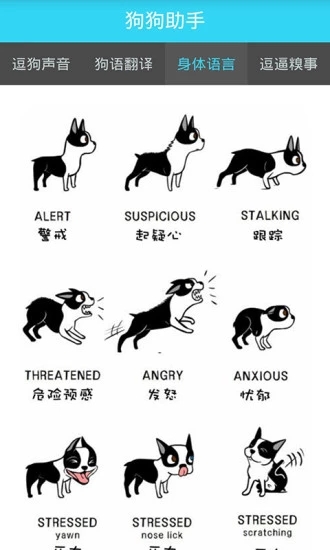 狗狗助手 狗狗助手