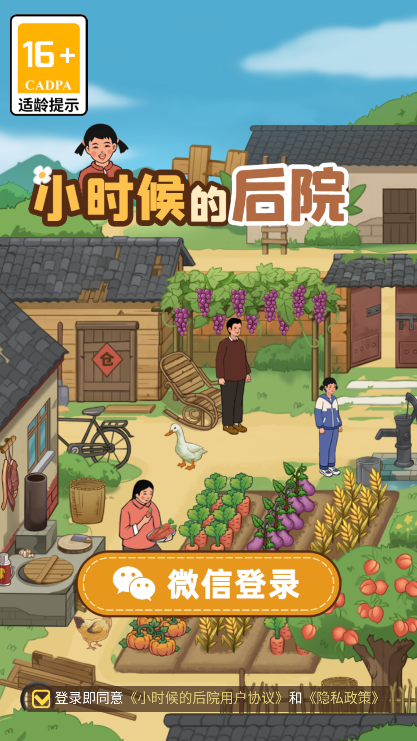 小时候的后院