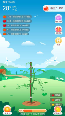 番多拉