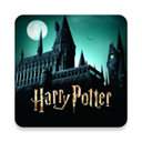 Hogwarts Mystery安装器