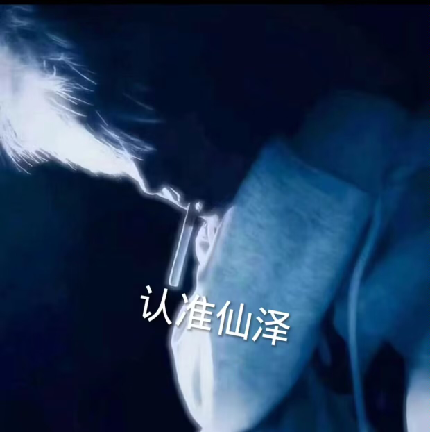 仙泽弱网9.0