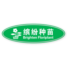 缤纷时刻