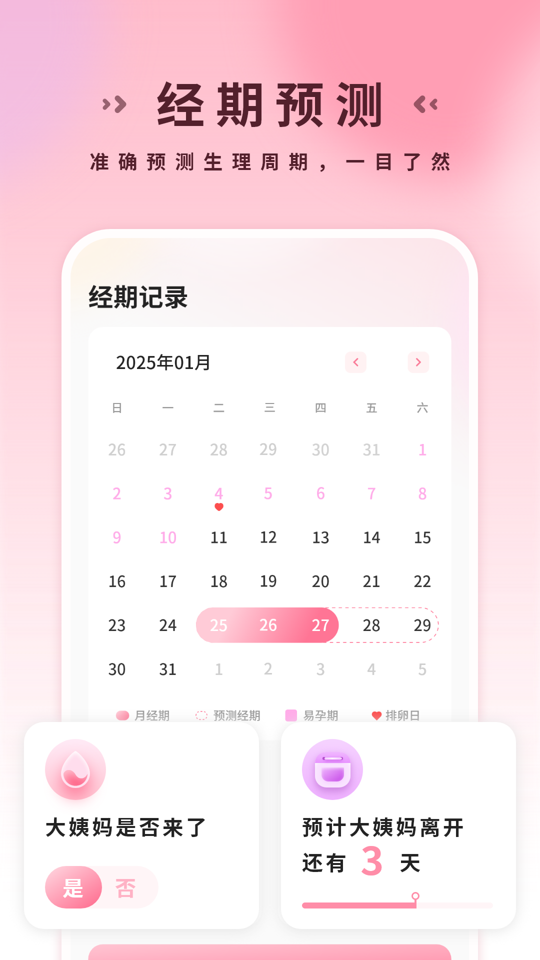 姨妈
