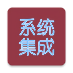 系统集成项目管理