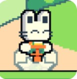 pogo runner安装器