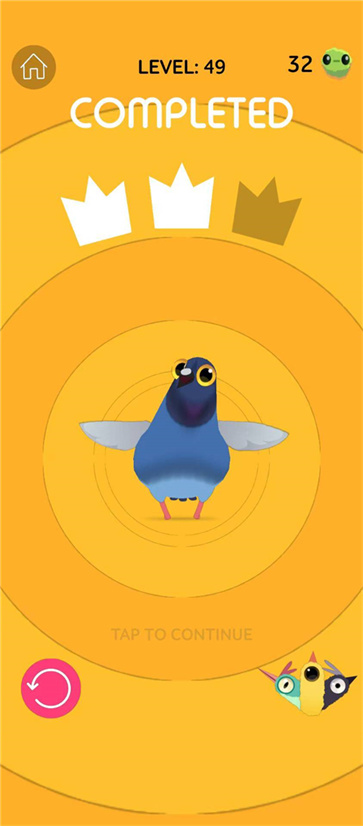 乱啄的鸽子 乱啄的鸽子