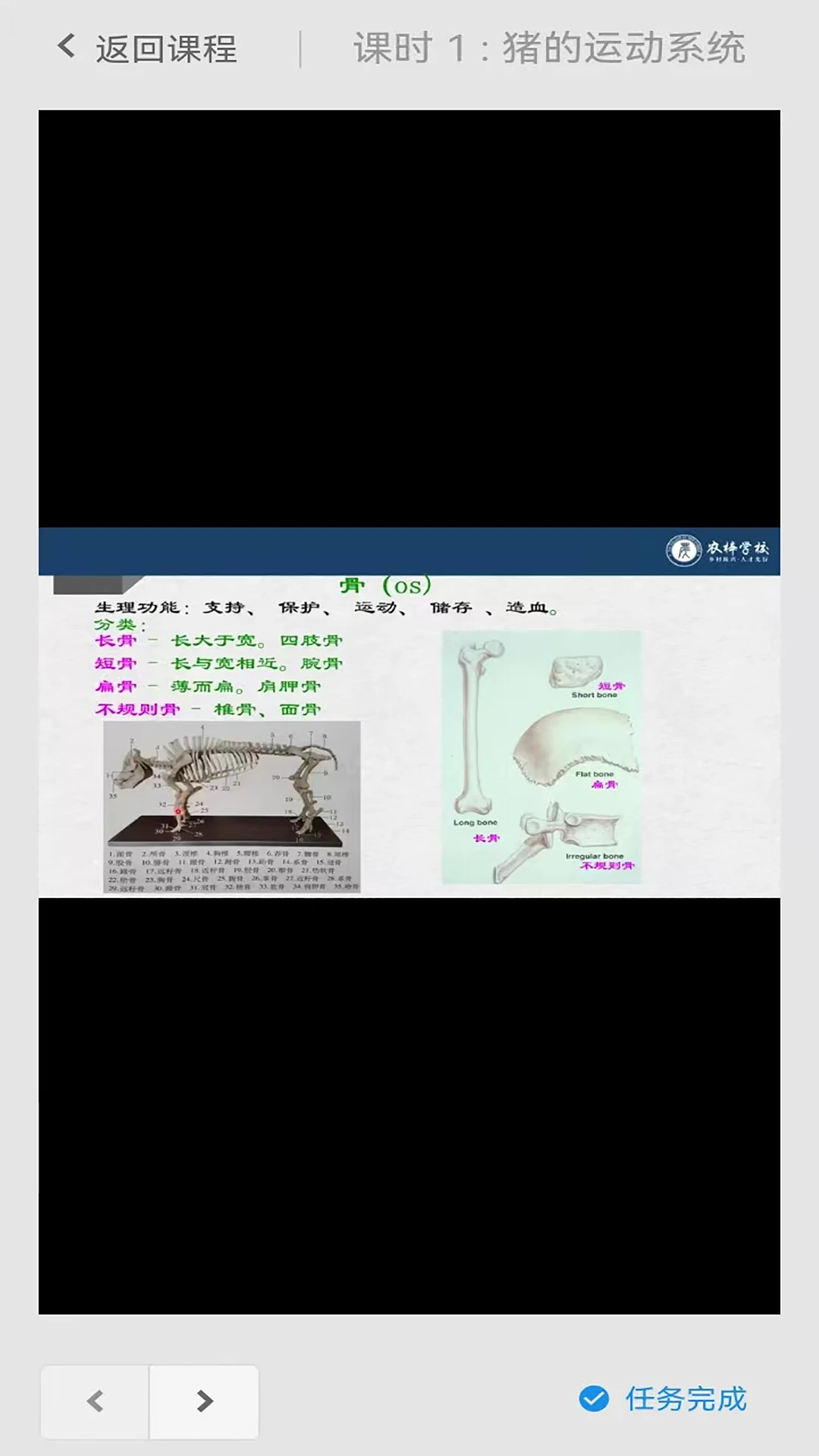 农梓学校