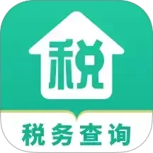 个人税务查询