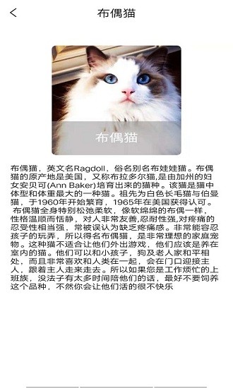 贝贝宠物百科 贝贝宠物百科