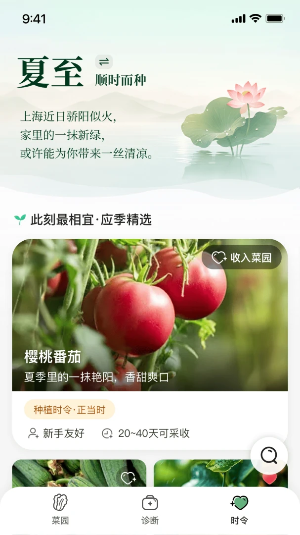 爱种菜