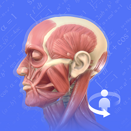 3Dbody解剖学