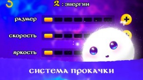 萌萌的追光者