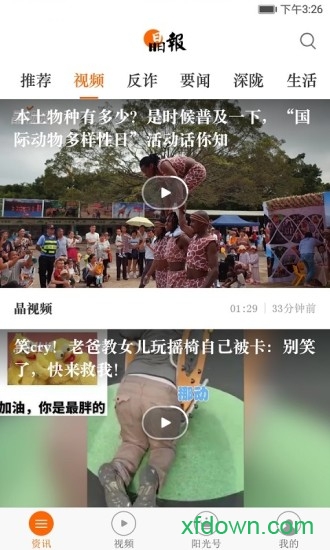 晶报 晶报