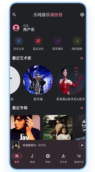 乐纯音乐播放器 v1.0.4 安卓版